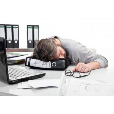 Power Nap / Office Pillow