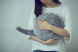 Qoobo Robotic Cat Tail Pillow