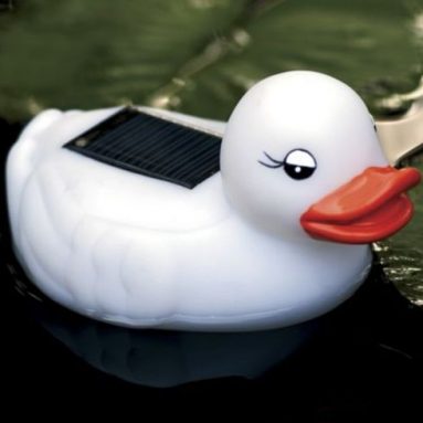 Solar Rubber Duckie