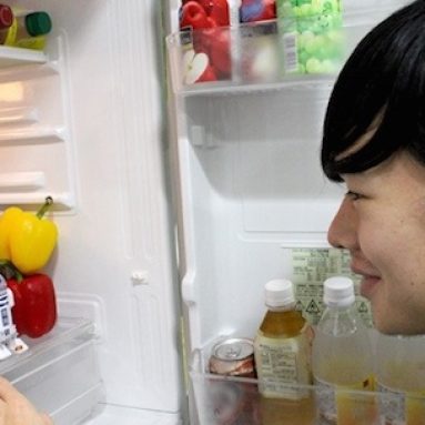 R2-D2 Talking Fridge Gadget