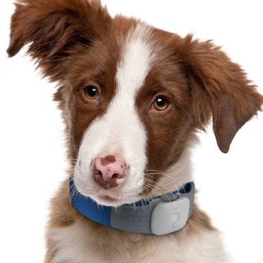 The Pet Tracker Master Kit