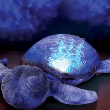 The Seascape Projecting Turtle