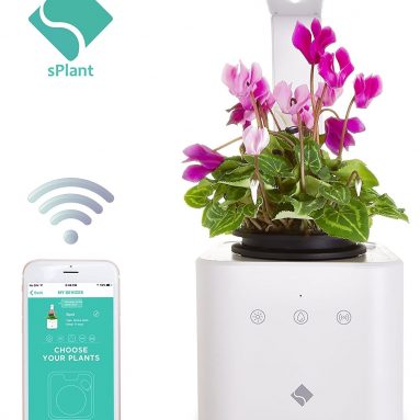 sPlant Smart Fresh Herb Garden Kit