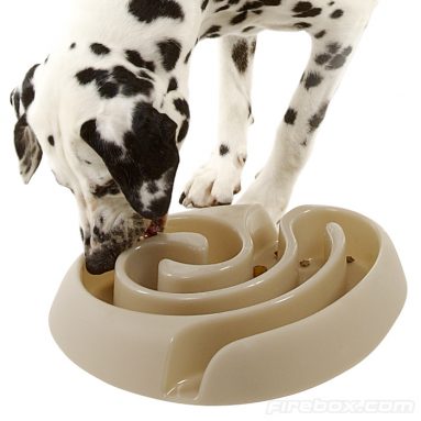 Dog Maze Food Bowl