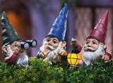 Peeping Gnomes Garden Statues