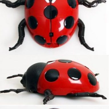 Climbing Remote Control Lady Beetle