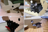 Shark House for Cats