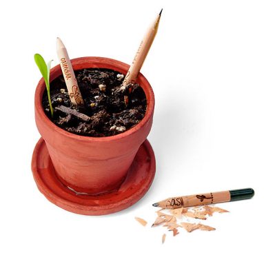 Sprout Growing Pencils
