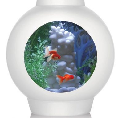 SpyOrb 30 White Aquarium