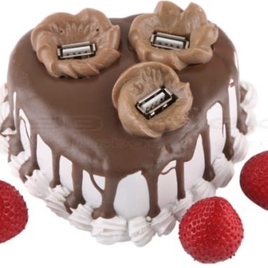 Strawberry Chocolate Cake USB Hub