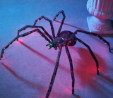 Inch Twitching Lighted Spider