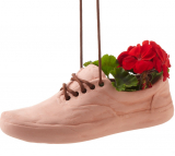 terracotta shoe planter