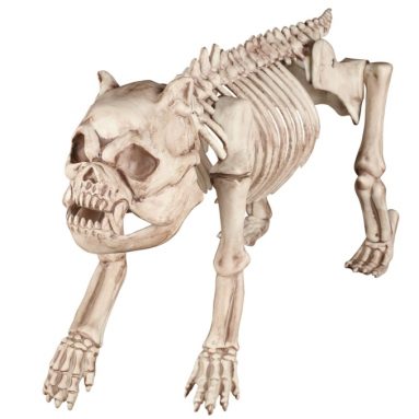 the Hungry Hound Skeleton Dog Standard