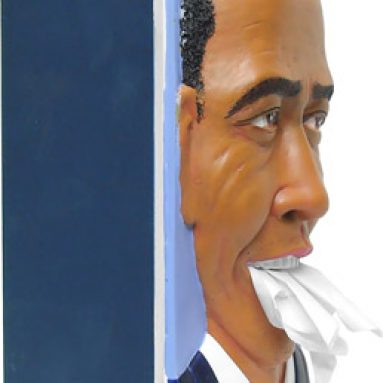 Fun Tissue Box Cover