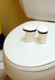 Twin Toilet Salt and Pepper