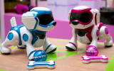 Interactive robotic puppy