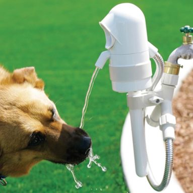 The Dog Activated Outdoor Fountain