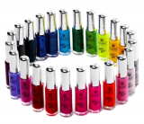 Nail Art Set (24 Famouse Colors Nail Art Polish, Nail Art Decoration)