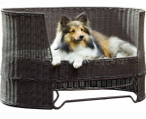 Dog Day Bed with Outdoor Cushion