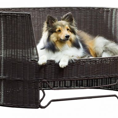 Dog Day Bed with Outdoor Cushion