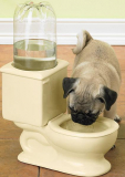 Ceramic Pet Water Bowl