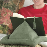 Book Pillow