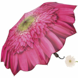 Gerber Daisy Umbrella