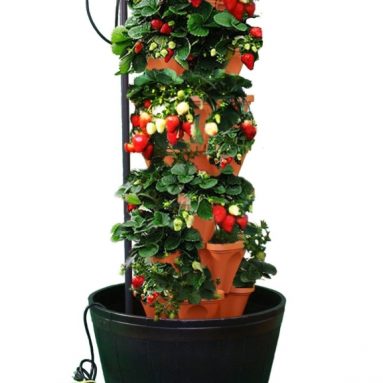 The Vertical Container Hydroponics Growing System