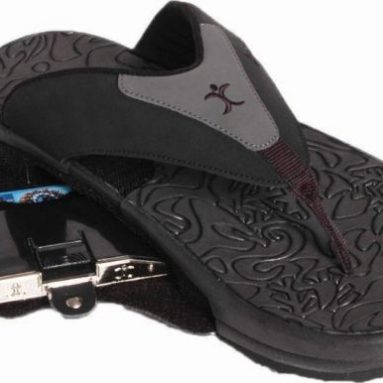 ArchPort Flip Flops with Hidden Storage