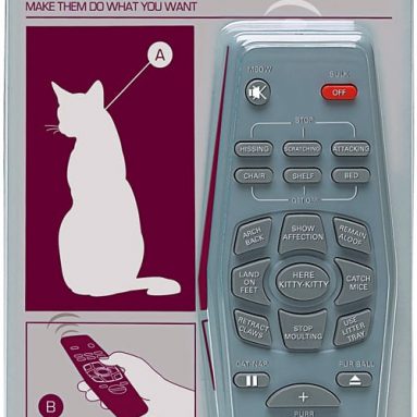 Control a Cat Remote