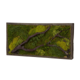 woodlands green wall art