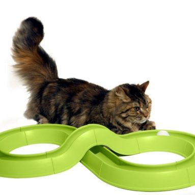 Turbo Track Cat Toy