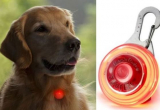 LED Dog Collar Charms