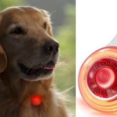 LED Dog Collar Charms