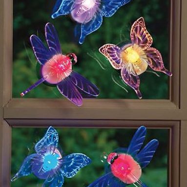 Color Changing Window Insect