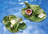 Hand-painted Floating Frog Pair On Lilypad