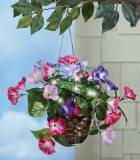 Lighted Morning Glories Hanging Floral Basket