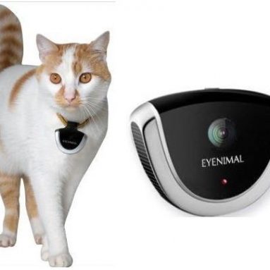 Pet Video Camera