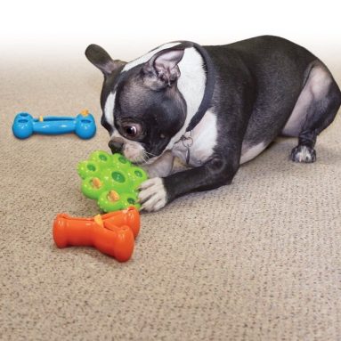 Quest Star Pods Treat Dispensing Dog Toy