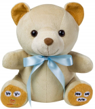 Teddy Bear MP3 Player and Web Recorder