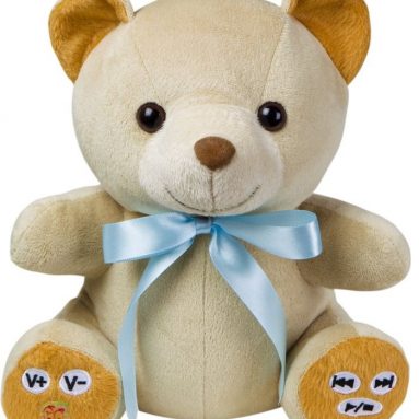 Teddy Bear MP3 Player and Web Recorder