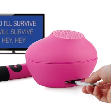 New Singing Machine 4TV