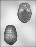 3-D Brain Chocolate Mold