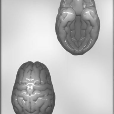 3-D Brain Chocolate Mold