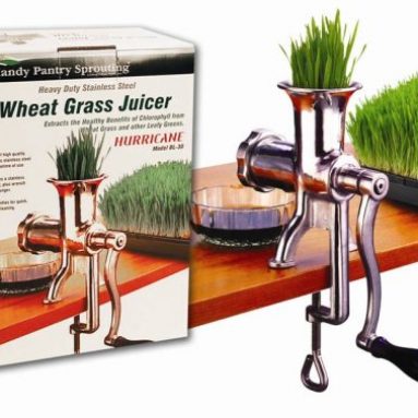 Stainless Steel Manual Wheatgrass Juicer